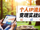 个人IP流量变现实战课，涵盖多平台引流、打造个人IP并实现稳定流量变现