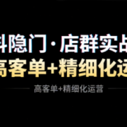 抖隐门·抖音小店高利润高客单店群玩法
