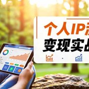 个人IP流量变现实战课，涵盖多平台引流、打造个人IP并实现稳定流量变现