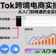 TikTok跨境电商实操课，从入门到精通的全实操流程