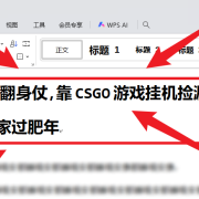 25年底翻身仗,靠CSGO游戏挂机捡漏掘金,搞钱回家过肥年