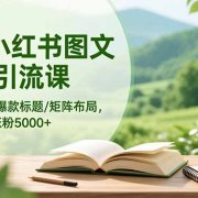 AI+小红书图文矩阵引流课：账号定位/爆款标题/矩阵布局/单账号月涨粉5000+