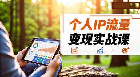 个人IP流量变现实战课，涵盖多平台引流、打造个人IP并实现稳定流量变现