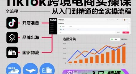TikTok跨境电商实操课，从入门到精通的全实操流程