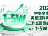 2025 拼多多虚拟类目矩阵玩法，工作室批量起号，月入 1-5W 不难