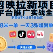 剪映拉新项目多平台推广实战全流程(抖音快手小红书今日头条),8米一单,一天3张超简单