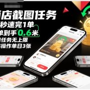 酒店截图任务,15秒速完1单,每单到手0.6米,每日任务无上限,全网首发玩法,矩阵操作单日3张【揭秘】
