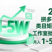 2025 拼多多虚拟类目矩阵玩法，工作室批量起号，月入 1-5W 不难