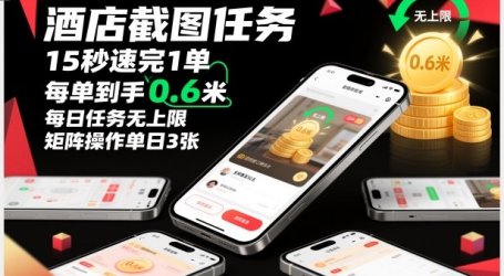 酒店截图任务,15秒速完1单,每单到手0.6米,每日任务无上限,全网首发玩法,矩阵操作单日3张【揭秘】