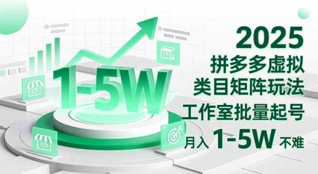 2025 拼多多虚拟类目矩阵玩法，工作室批量起号，月入 1-5W 不难