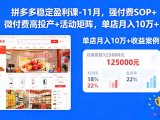 拼多多稳定盈利课-11月,强付费SOP+微付费高投产+活动矩阵,单店月入10w+