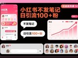 引流系列课14：小红书不发笔记日引流100+粉