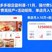 拼多多稳定盈利课-11月,强付费SOP+微付费高投产+活动矩阵,单店月入10w+