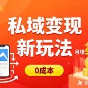 私域变现新玩法,0成本,多端引流,普通人月增收5k+