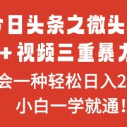 今日头条之微头条＋文章＋视频三重暴力玩法，学会一种轻松日入2000＋，…