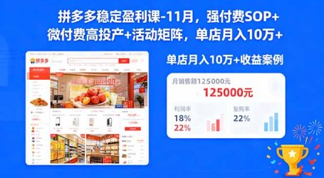 拼多多稳定盈利课-11月，强付费SOP+微付费高投产+活动矩阵，单店月入10w+