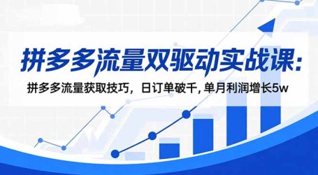 拼多多流量双驱动实战课：拼多多流量获取技巧，日订单破千,单月利润增长5w