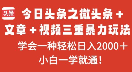今日头条之微头条+文章+视频三重暴力玩法,学会一种轻松日入2000+,…