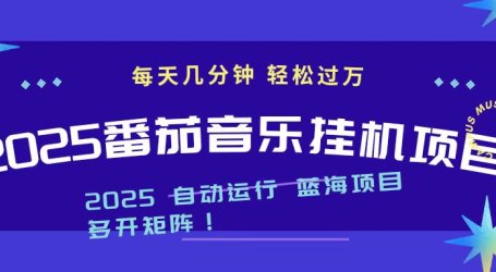2025最新挂机番茄音乐项目,每天几分钟,日入1000+
