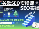 谷歌SEO实操课，Google从0开始SEO全攻略，逐步进阶到大神