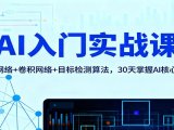 AI入门实战课：神经网络+卷积网络+目标检测算法，30天掌握AI核心基础