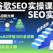 谷歌SEO实操课，Google从0开始SEO全攻略，逐步进阶到大神