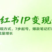 小红书IP变现课:6大变现方式,7步起号,爆款笔记打造,定位选品,流量增长