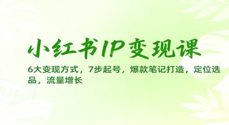 小红书IP变现课:6大变现方式,7步起号,爆款笔记打造,定位选品,流量增长