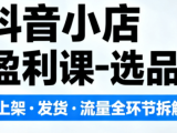 抖音小店盈利课-选品·上架·发货·流量全环节拆解