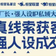 肖厂长·强人设IP私域大课11月深圳站大课(音频+字幕)