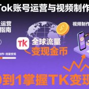2025最新TikTok账号运营与视频制作实战全流程,从0到1掌握TK变现(含11月最新TK搬运技术)