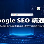 Google SEO 精通课：算法解析/关键词/内容/外链实操/搭配工具教程/B2C项目案例