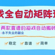 两款靠谱的游戏全自动搬砖项目，日入1k+，稳定可矩阵，永不失业的副业【揭秘】