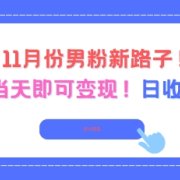 11月份男粉新路子，起号后当天即可变现，日收益4张