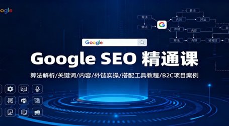Google SEO 精通课:算法解析/关键词/内容/外链实操/搭配工具教程/B2C项目案例